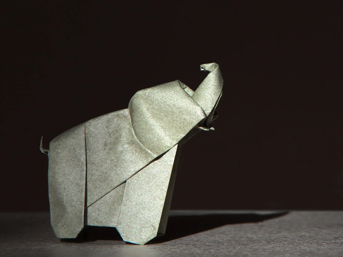 silver medal